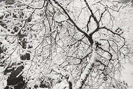 Monticello Snow I