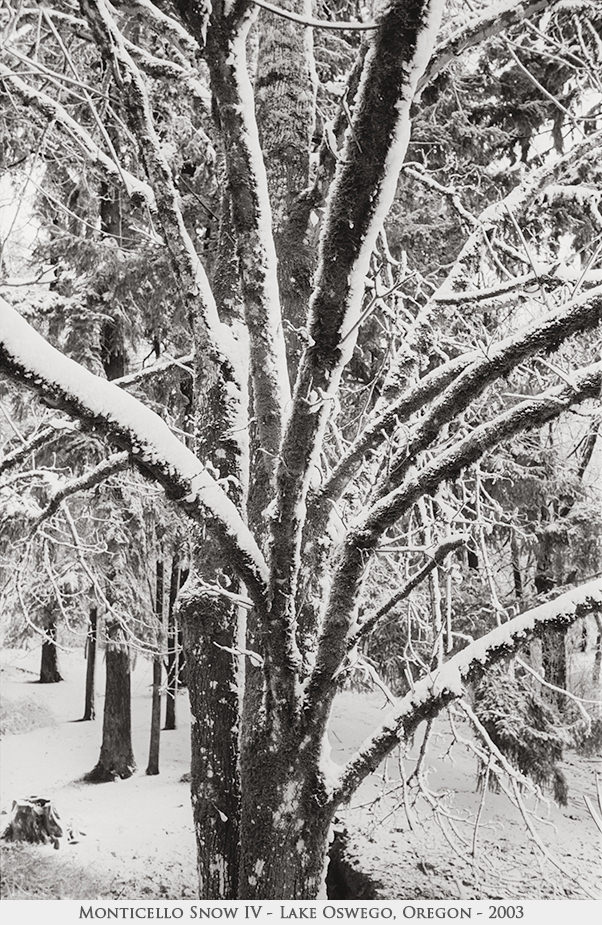 Monticello Snow IV