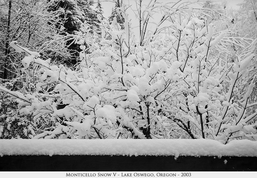 Monticello Snow V