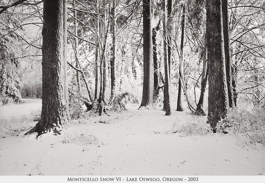 Monticello Snow VI