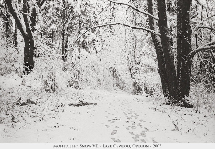 Monticello Snow VII