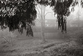 Monticello Fog VII