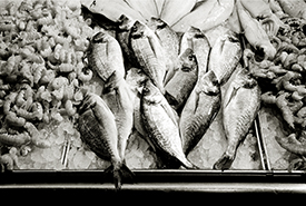 Fish Market Display