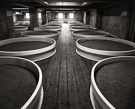 fermentation vats