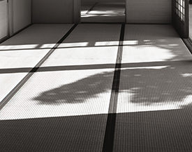 shadows on Tojokan tatami 1