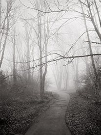 fog