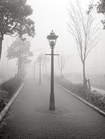 gas lamps in fog
