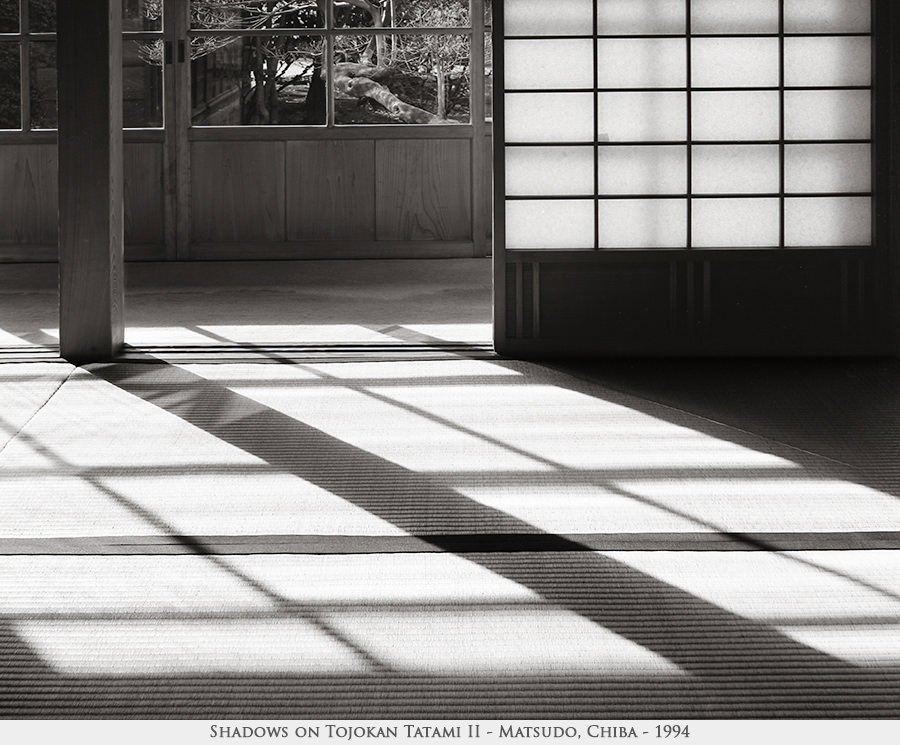 shadows on Tojokan tatami 2
