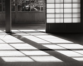 shadows on Tojokan tatami 2