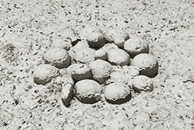Stone Balls, Castello Sforzesco