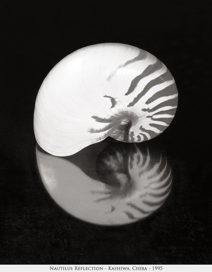 nautilus reflection=