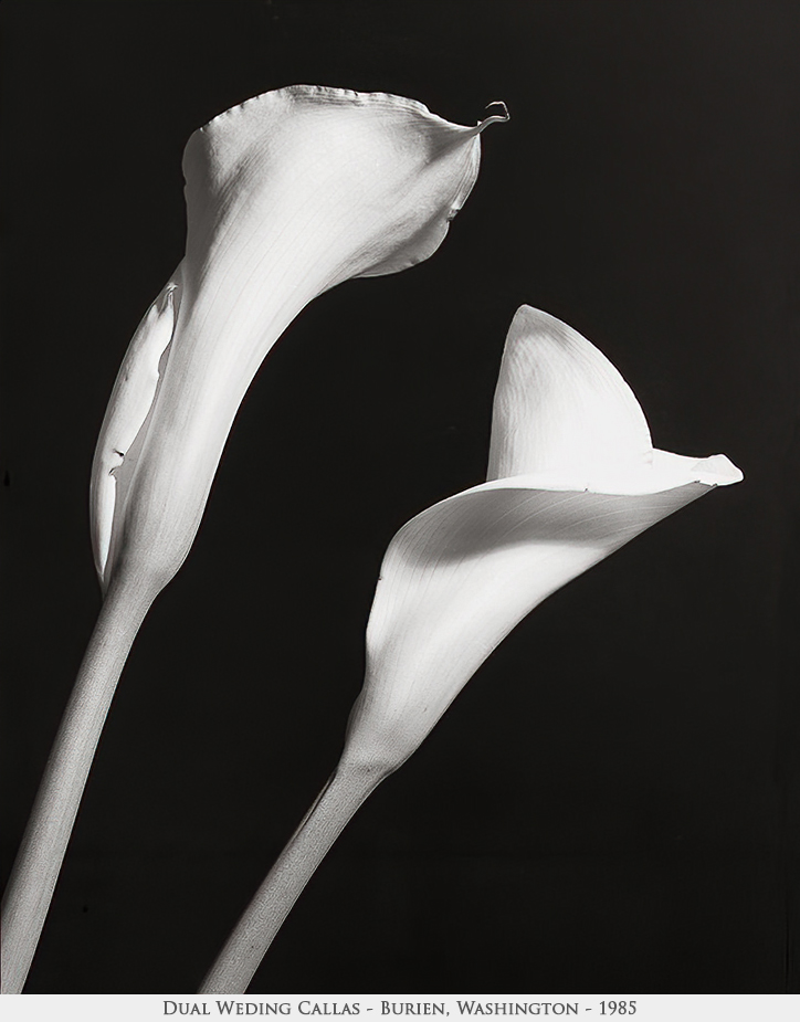 dual wedding callas